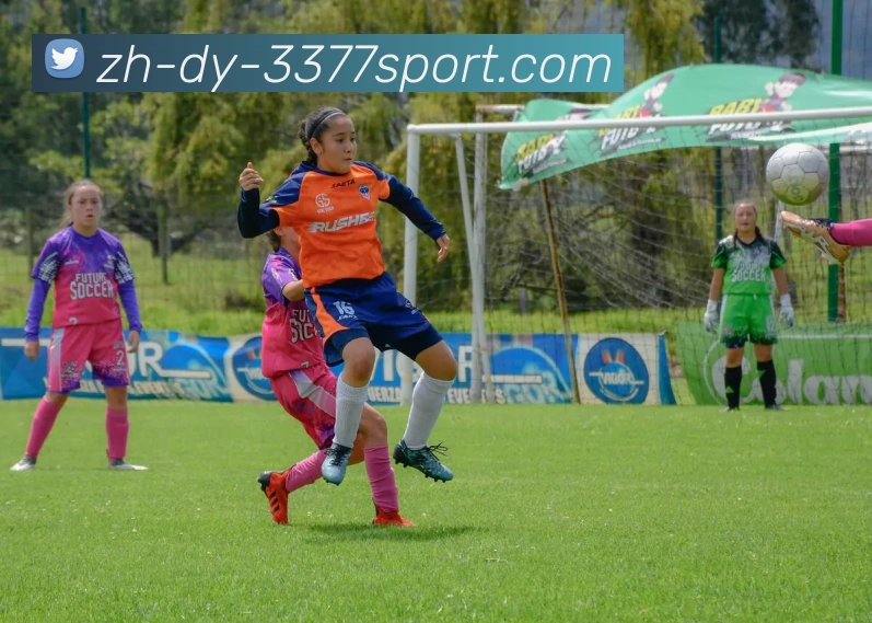 3377体育官网全站App